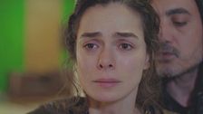 Episodio 35