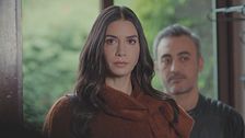 Episodio 44