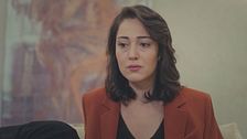 Episodio 40