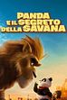Trailer - Panda e il segreto della savana