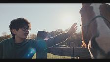 Trailer - In viaggio con mio figlio