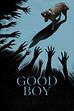 Trailer - Good boy (di b. leonberg)