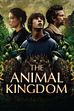 Trailer - The animal kingdom  (di t. cailley)