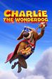 Trailer - Charlie the wonderdog