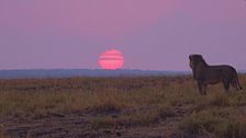 Ep. 1 - Botswana