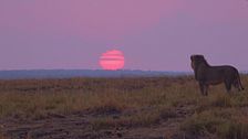 Ep. 1 - Botswana