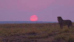 Ep. 1 - Botswana