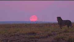 Ep. 1 - Botswana