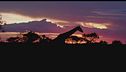 Ep. 2 -  South Africa