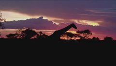 Ep. 2 -  South Africa