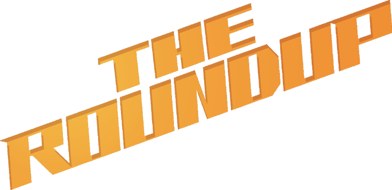 The roundup - Film Mediaset Infinity