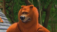 La stella del giorno