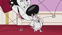 Daffy duck: guru motivazionale / La teoria del criceto