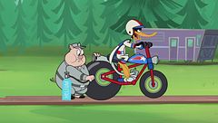 Gara di bolidi / Papero temerario