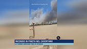 Incendio in pineta nel casertano