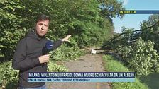 Milano, violento nubifragio: donna muore schiacciata da un albero