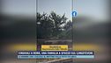 Cinghiali a Roma, una famiglia a spasso sul lungotevere