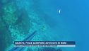 Salento, pesce scorpione avvistato in mare