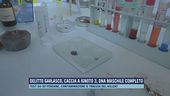 Delitto Garlasco, caccia a ignoto 3, dna maschile completo