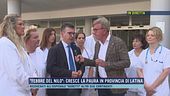 "Febbre del Nilo": cresce la paura in provincia di Latina