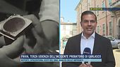 Pavia, terza udienza dell'incidente probatorio di Garlasco