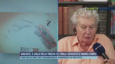 Garlasco, il giallo della traccia 33, parla l'avvocato di Andrea Sempio
