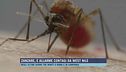 Zanzare, è allarme contagi da West Nile