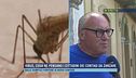 Virus, cosa ne pensano i cittadini dei contagi da zanzare
