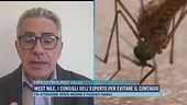 West Nile, salgono a 9 i contagi, l'ultima vittima a Caserta