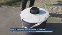 Ecco le trappole per catturare le zanzare