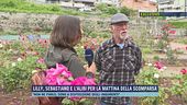 Lilly, Sebastiano e l'alibi per la mattina della scomparsa