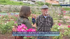 Lilly, Sebastiano e l'alibi per la mattina della scomparsa