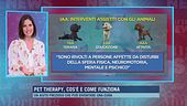 Pet therapy, cos'è e come funziona