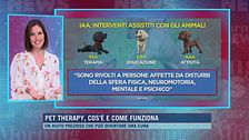 Pet therapy, cos'è e come funziona