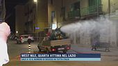 West Nile, quarta vittima nel Lazio