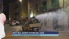 West Nile, quarta vittima nel Lazio