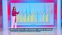 Malattie infettive, come avvengono i contagi da zanzara