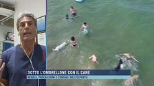 Sotto l'ombrellone con il cane