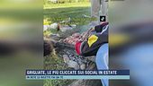 Grigliate, le più cliccate sui social in estate