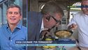 Cosa cucinare per ferragosto?