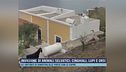 Invasione di animali selvatici: cinghiali, lupi e orsi