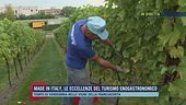 Made in Italy, le eccellenze del turismo enogastronomico