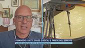 Formaggio a latte crudo e rischi, il parere dell'esperto