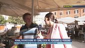 Roma, aggressioni dei cani, cosa ne pensano le persone?