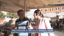 Roma, aggressioni dei cani, cosa ne pensano le persone?