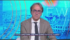 Mercoledì 29 luglio