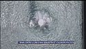 Un mare di pallottole