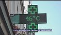 Trend ambientale ed ecologico mondiale