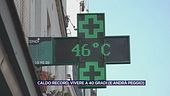 Trend ambientale ed ecologico mondiale