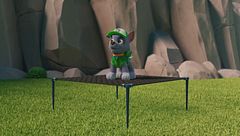 Cuccioli salvano il concerto di Fogstock / Cuccioli salvano lo spettacolo di Francois